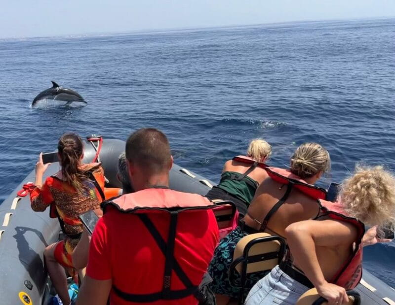 Lagoa: Dolphins Expedition with biologist guide on board - What is Included and What Isn’t?