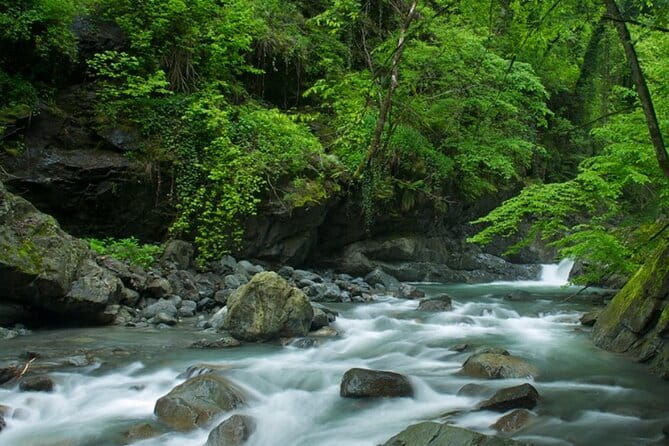 Lagodekhi - A day hiking from Tbilisi - Entering the Realm of Natural Beauty: The Itinerary