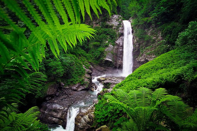 Lagodekhi - A day hiking from Tbilisi - Price and Logistics: What You Need to Know