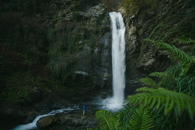 Lagodekhi - A day hiking from Tbilisi - Final Thoughts: Is This Adventure Worth It?