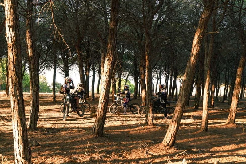 Lagos, Algarve: Adventure Tours on Surron Electric Dirtbikes - Key points / Takeaways