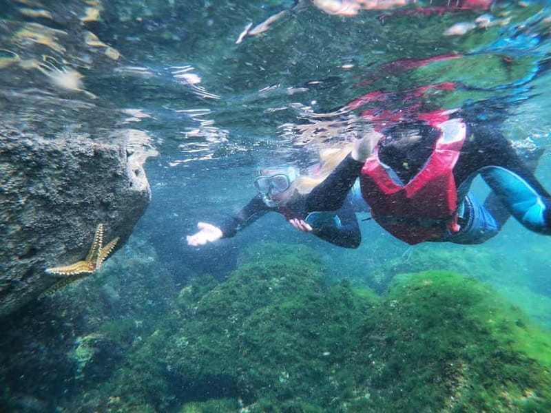 Lagos: Algarve Coasteering and Snorkeling Adventure - Practical Tips for Making the Most of Your Experience