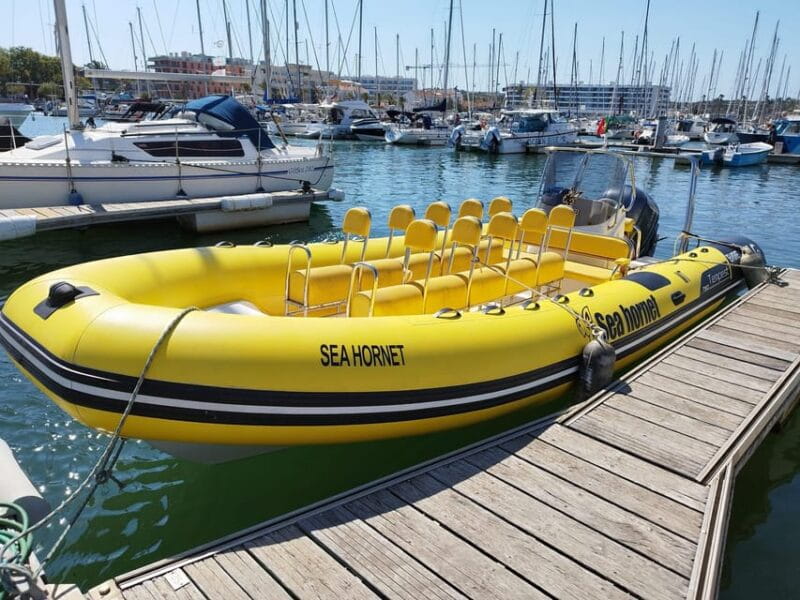 Lagos: Benagil Cave Sunrise Boat Tour - Final Thoughts