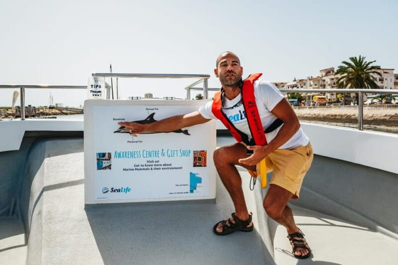 Lagos: Dolphin Watch Tour with Professional Marine Biologist - Key Points / Takeaways