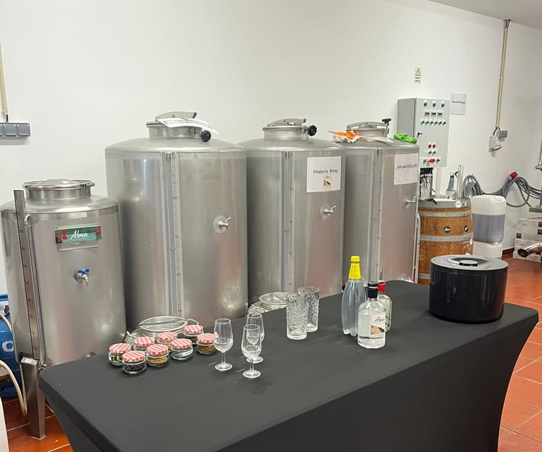 Lagos: Guided Gin Distillery Tour With Tasting at Alma Luz - Key points / Takeaways