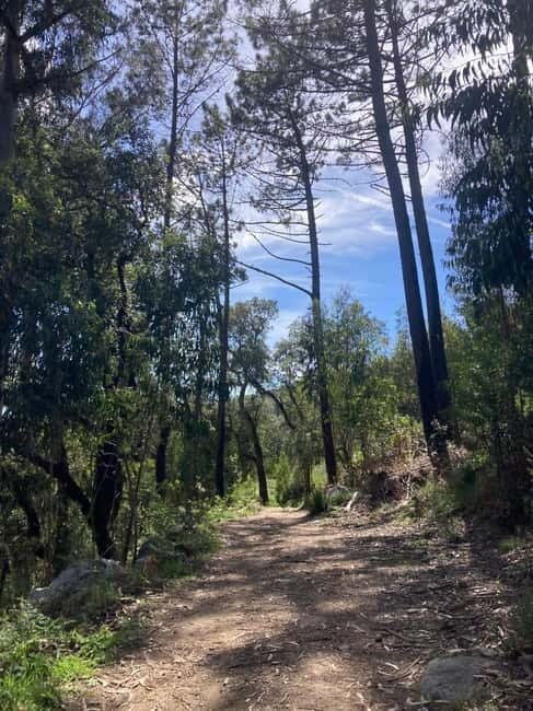 Lagos: Party - UMM Safari-Beer-Tour to the West-Coast - FAQ