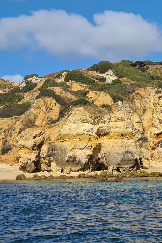 Lagos: Privat Trip up to 11 Pax to Grottos Ponta da Piedade - A Closer Look at the Experience: From Start to Finish