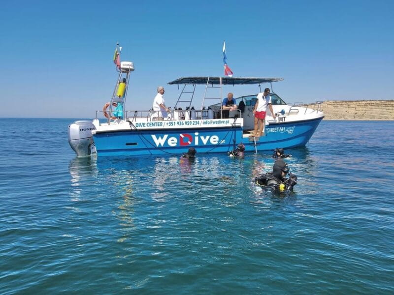 Lagos: Scuba Diving Experience for Beginners - The Adventure Begins: From Classroom to Poolside