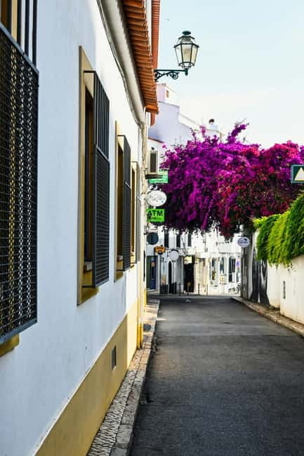 Lagos to Sagres Coastline & City Private Guided Tour - Key Points / Takeaways