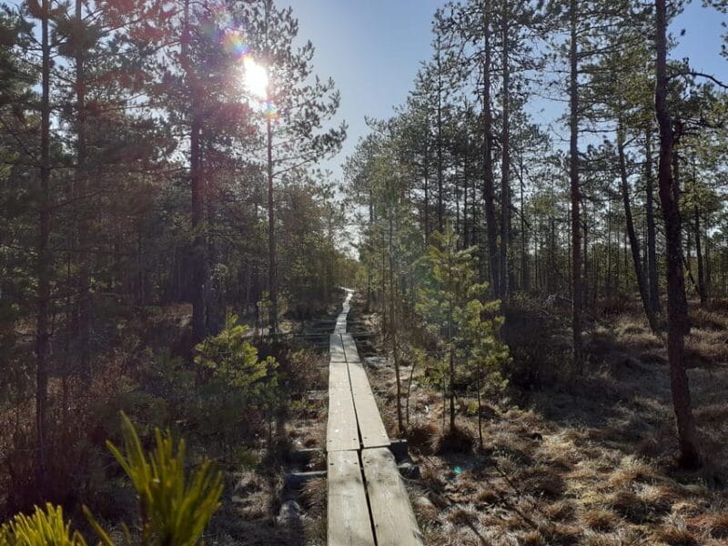 Lahti: Guided Nature Walk The Heart of The Swamp - Navigating the Details: Practicalities and Logistics