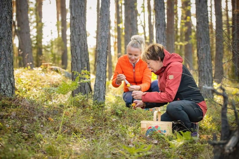 Lahti: Wild Food Foraging Tour with Tastings - Why This Foraging Tour Offers Good Value