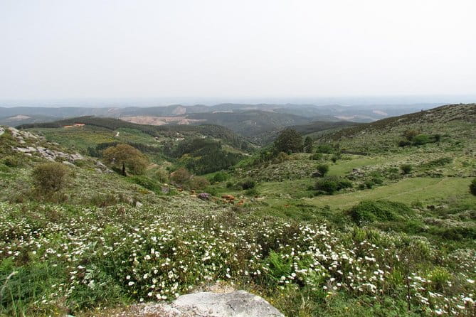 Laid-back birdwatching week - The Experience and What It Means for You