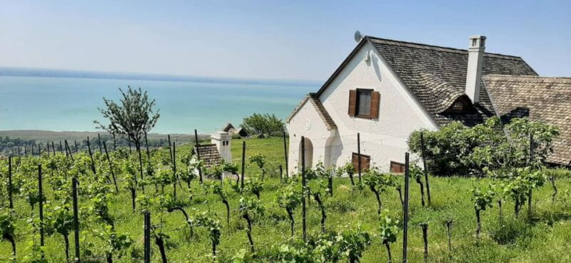 Lake Balaton Full-Day Tour from Budapest - Additional Stops and Optional Experiences