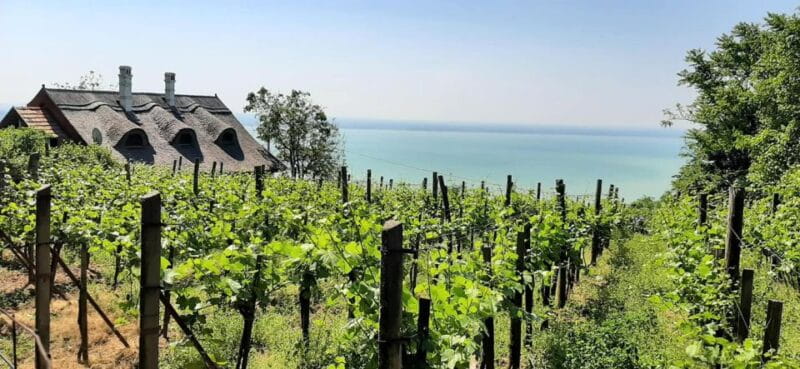 Lake Balaton Full-Day Tour from Budapest - The Sum Up: A Scenic and Cultural Day at Lake Balaton