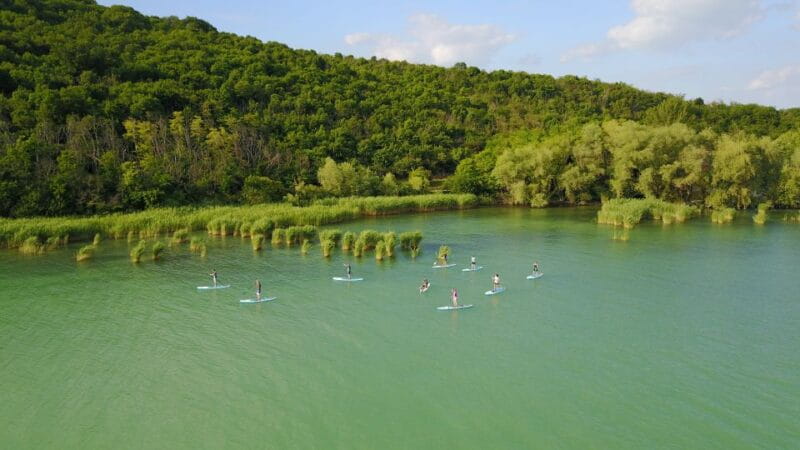 Lake Balaton: Paddle Board Tour of Tihany National Park - Discovering Lake Balaton by Paddleboard: A Deep Dive