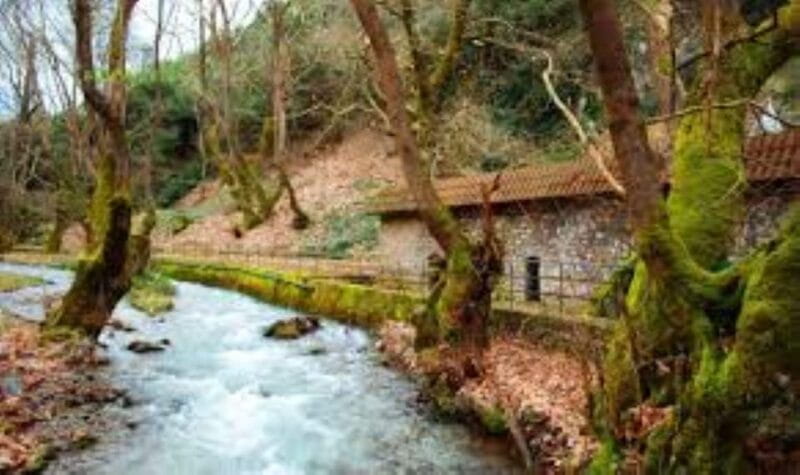 Lake caves and rack railway in Kalavryta - Practical Details and What to Expect