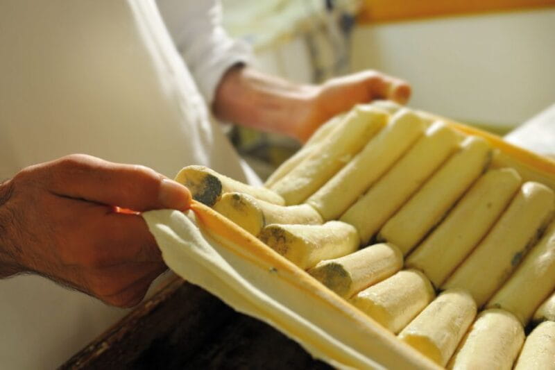 Lake Como: Cheese Factory Tour and Tasting in Valsassina - Key points / Takeaways