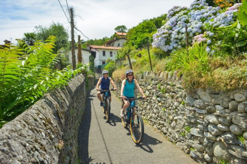 Lake Como to Lake Lugano: E-Bike Three Panoramic Lakes - Price and Logistics: Does It Deliver Value?