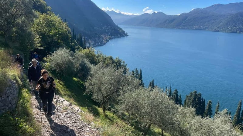 Lake Como: Varenna to Bellano Hiking Tour - Who Is This Tour Best For?