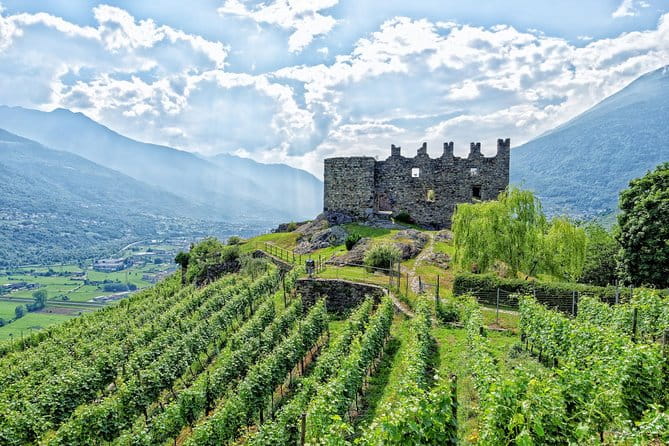 Lake Como & Wine Tour in Valtellina Valley - Full day - Wine Tasting at Cantine Nera: A Cultural and Sensory Highlight