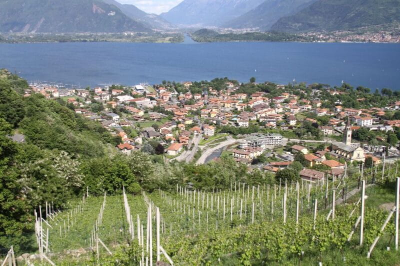 Lake Como: Winery Tour with Wine Tasting - Who Will Love This Tour?