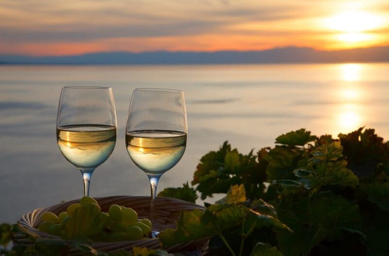 Lake Como: Winery Tour with Wine Tasting - The Sum Up