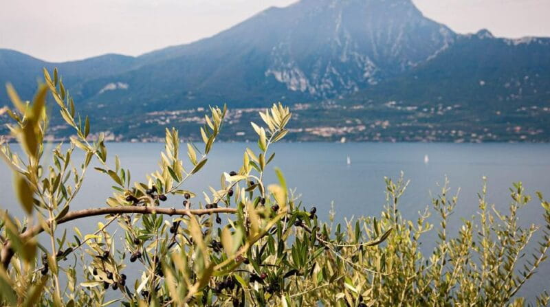 Lake Garda nature, cuisine, culture and history. - Discovering Lake Garda’s Natural and Cultural Wealth