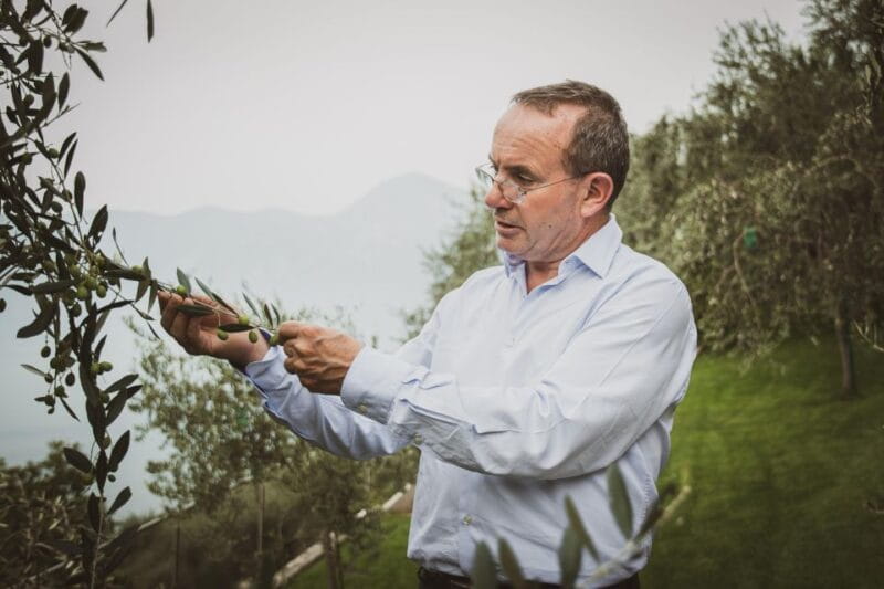 Lake Garda nature, cuisine, culture and history. - Who Will Love This Tour?