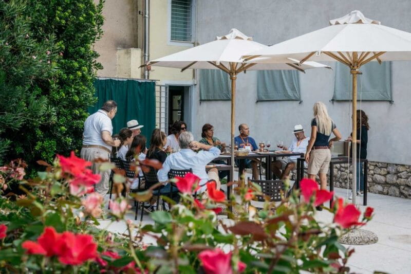 Lake Garda: Vineyards Tour and Wine Tasting - Who Will Love This Experience?