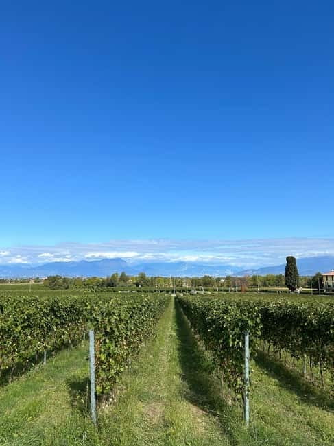 Lake Garda: Wine Tasting and Myths Tour with Local Snacks - Key points / Takeaways