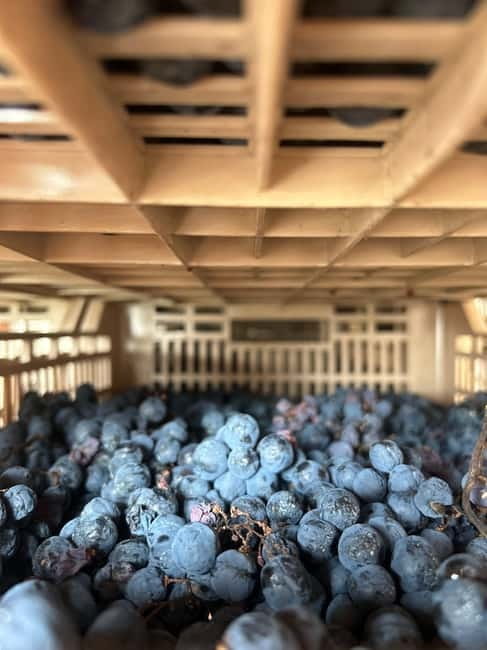 Lake Garda: Wine Tasting and Myths Tour with Local Snacks - Practical Details and Who It’s For