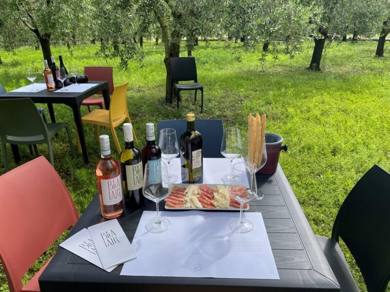 Lake Garda: Wine Tasting and Myths Tour with Local Snacks - Final Thoughts: Is This Tour Worth Your Time?
