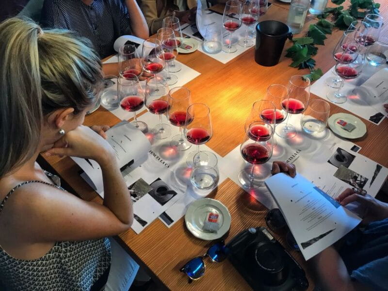 Lake Garda: Wine Tour and Tasting Experience in Bardolino - Who Will Love This Experience?