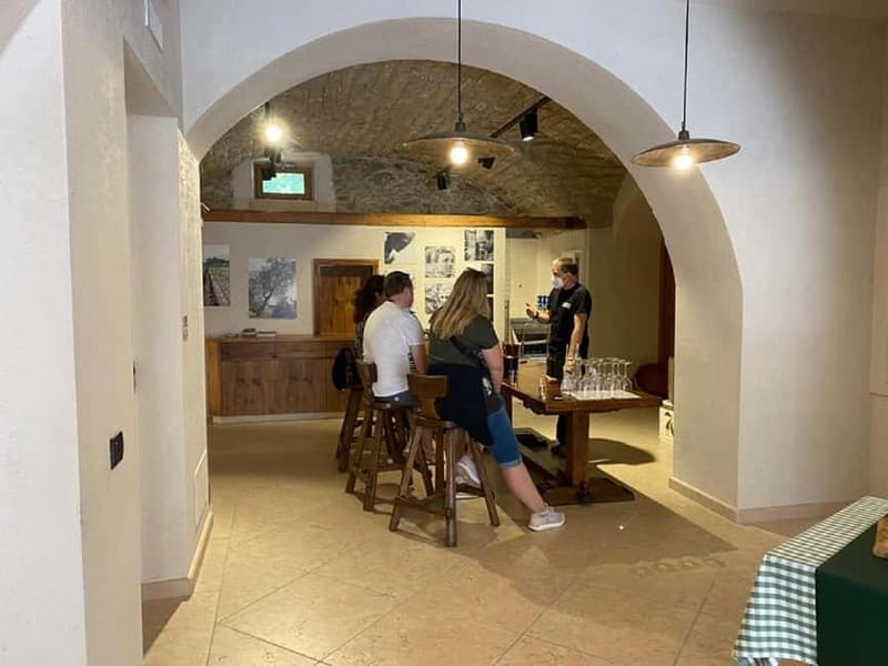 Lake Garda: Winery Visit with Wine and Olive Oil Tasting - An in-depth look at the Lake Garda Winery Experience