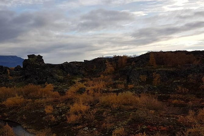 Lake Mývatn Private Tour - What to Expect from the Transportation and Guides