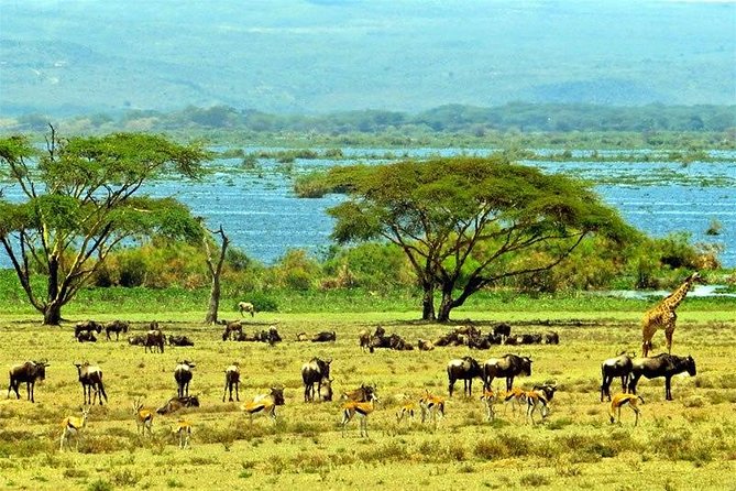 Lake Naivasha Day Tour Including the Crescent Island - Exploring Lake Naivasha