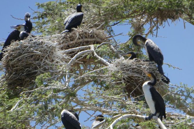 Lake Naivasha Day Tour Including the Crescent Island - Memorable Highlights of the Tour