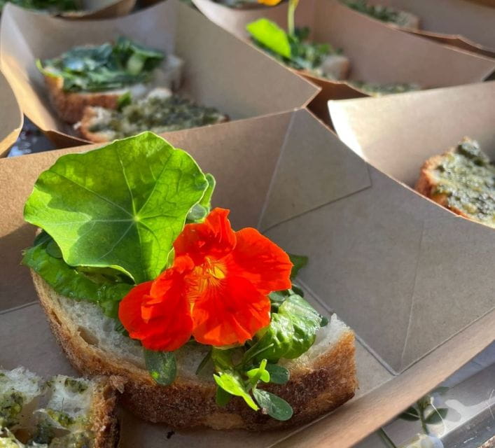 Lake Nemi: SUP Course and Food Tasting at the Lake - Key points / Takeaways