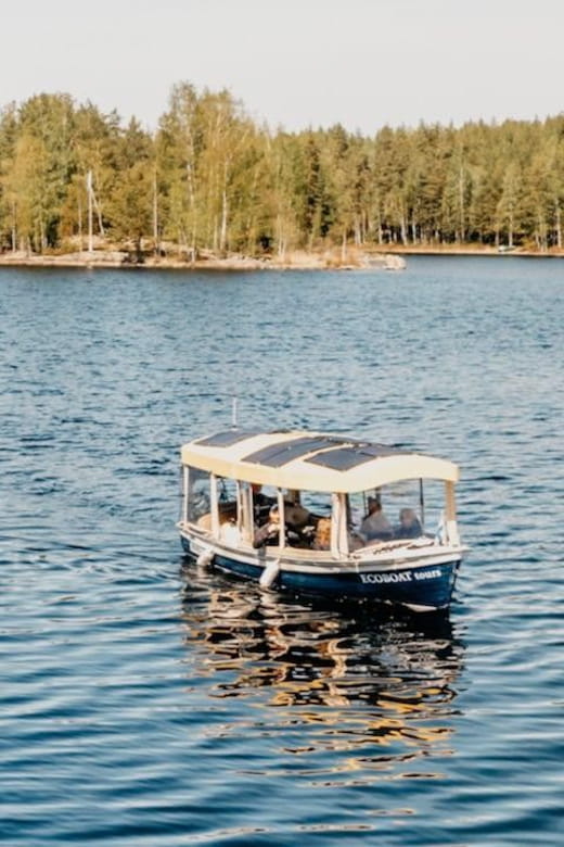 Lake Saimaa story cruise by Ecoboat in Puumala - The Itinerary: A 90-Minute Finnish Waterway Serenade