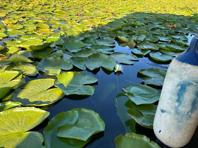Lake Skadar: Boat Cruise - Key Points / Takeaways