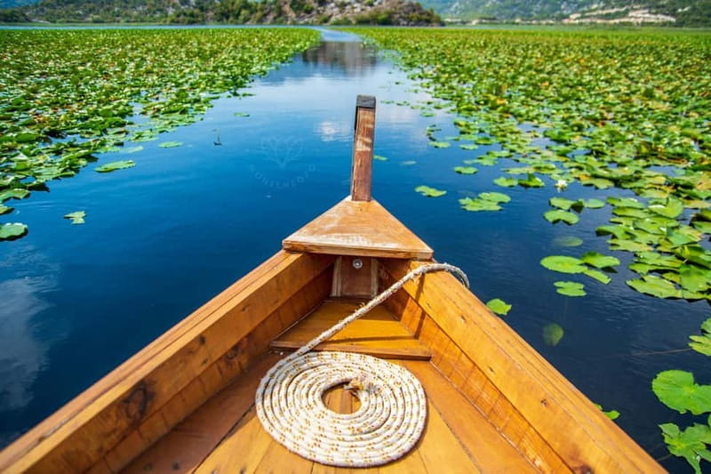 Lake Skadar: from Budva, Kotor, Tivat - Final Thoughts: Who Should Book?