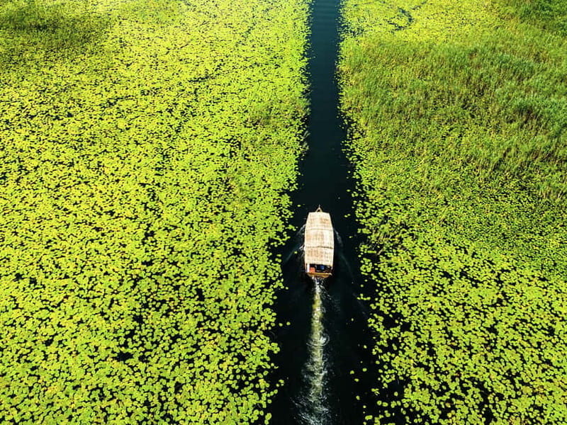 Lake Skadar: Guided Sightseeing Boat Tour with Drinks - The Allure of Lake Skadar — Why It’s Special