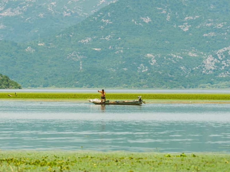 Lake Skadar: Guided Sightseeing Boat Tour with Drinks - The Experience of Swimming and Relaxing