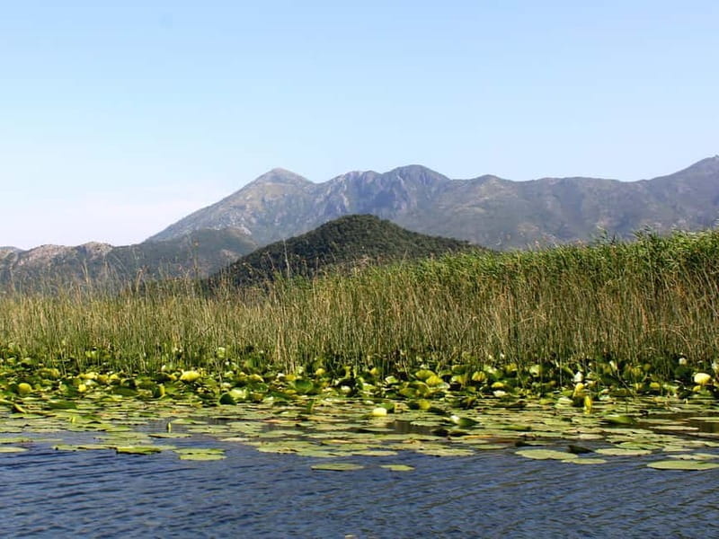 Lake Skadar: Short Boat Tour to Grmour Fortress with Drinks - Price and Logistics