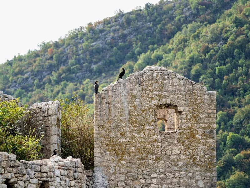 Lake Skadar: Short Boat Tour to Grmour Fortress with Drinks - Final Thoughts: Is It Worth It?