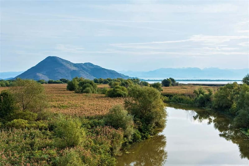 Lake Skadar: Visit the Montenegrin Venice - Key points / Takeaways