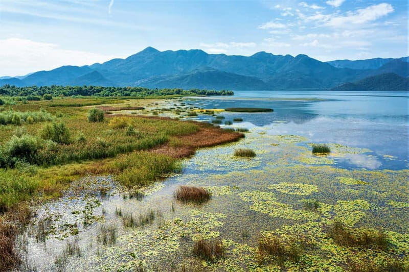 Lake Skadar: Visit the Montenegrin Venice - FAQ
