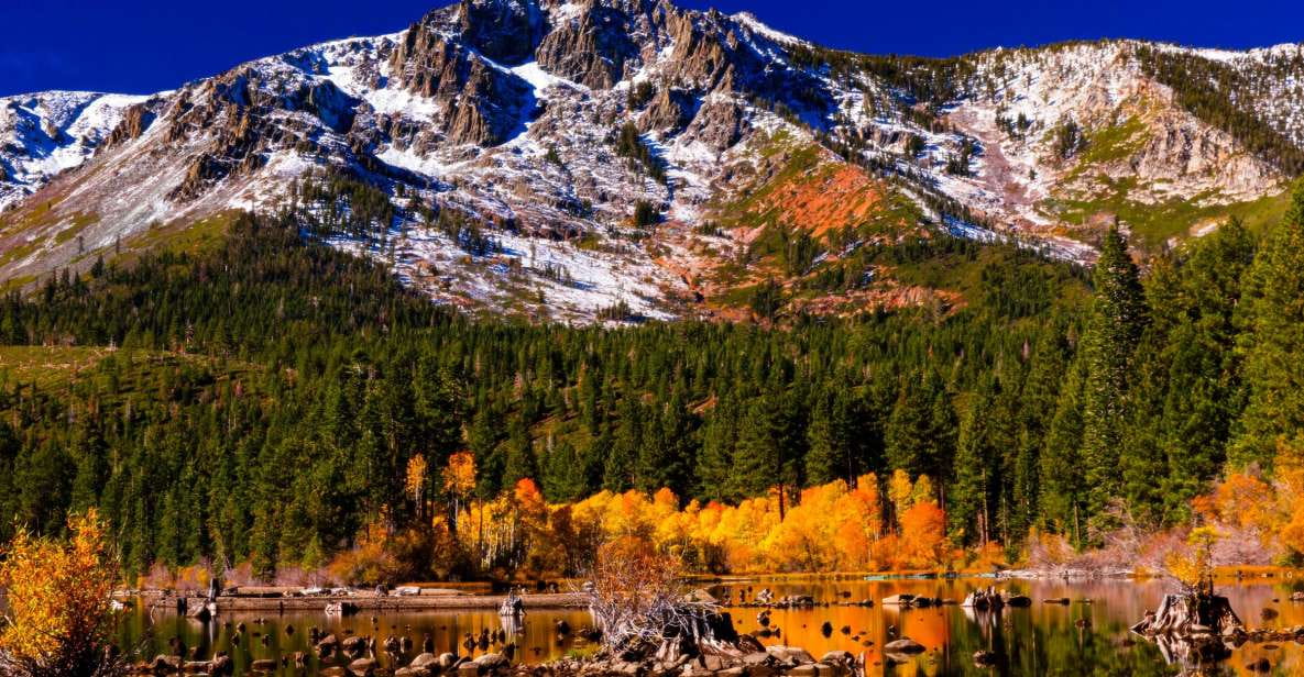 Lake Tahoe: Half-Day Photographic Scenic Tour - Visit Secluded Beach and Taylor Creek