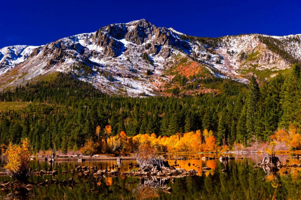 Lake Tahoe: Half-Day Photographic Scenic Tour - Witness Emerald Bay Panorama