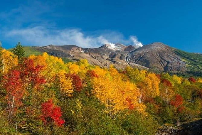 Lake Toya and Noboribatsu Hell Valley Private Day Trip - Inclusions and Logistics